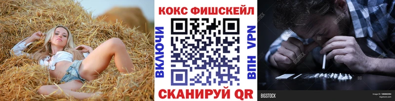 КОКАИН Fish Scale Ковылкино