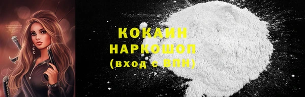 a pvp Няндома