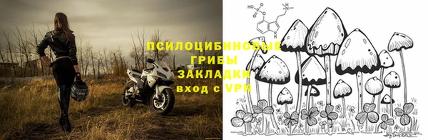 МДПВ Нягань