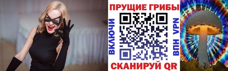 Галлюциногенные грибы GOLDEN TEACHER  как найти закладки  Ковылкино 