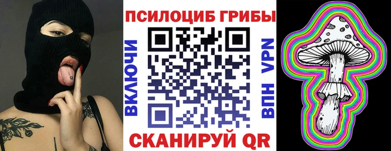 Галлюциногенные грибы Psilocybe Ковылкино